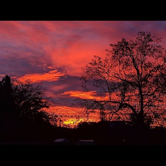 Meet your Posher, Janine - Picture 3 of 14